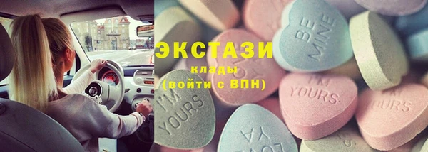 ECSTASY Богданович